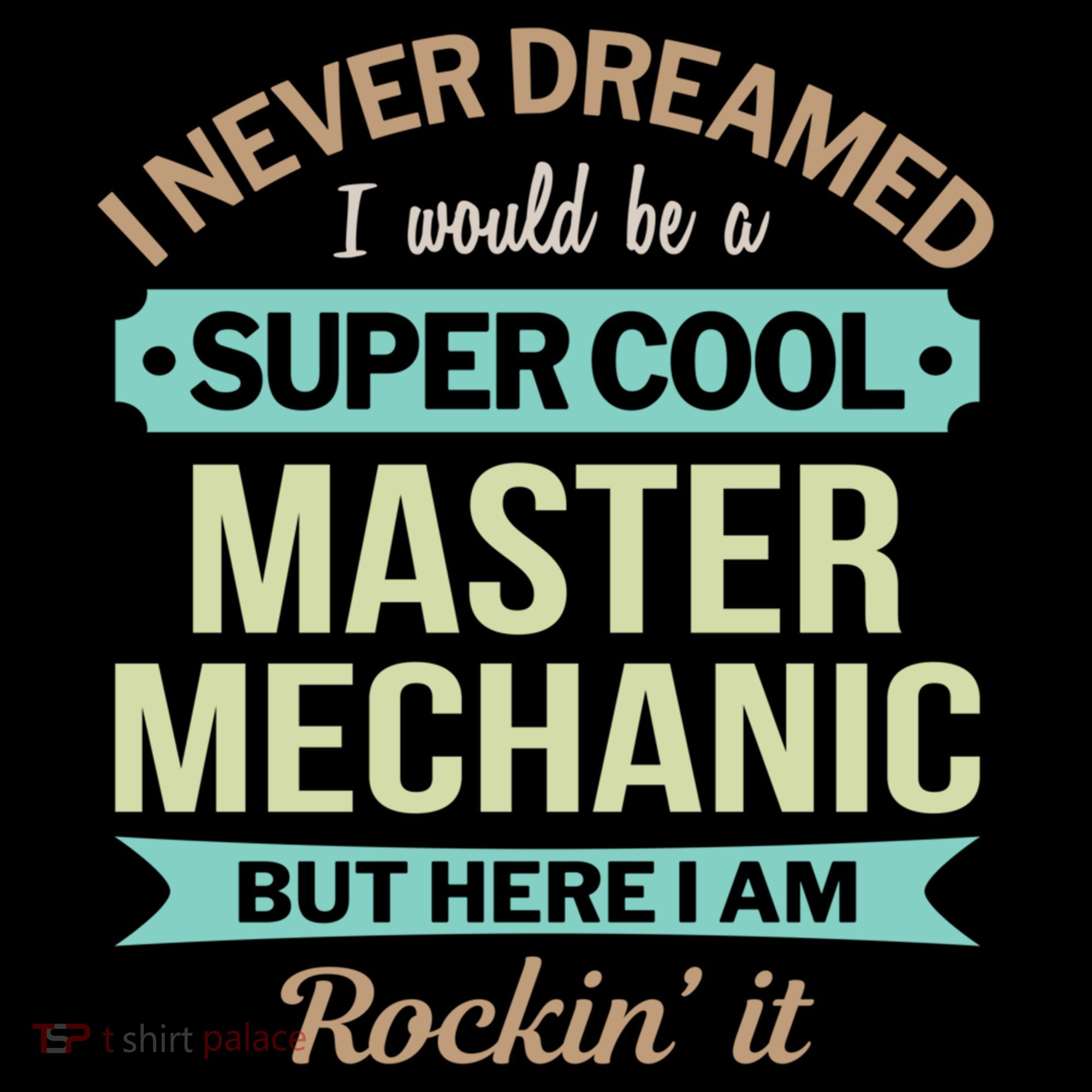 Master Mechanic Gift Funny Gift Women's Hoodie