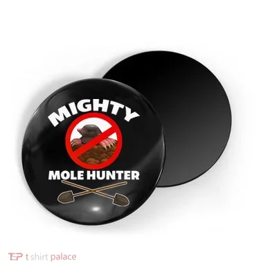 Magnet