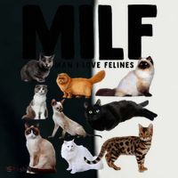 MILF Man I Love Felines Funny Cats Women's Tri-Blend 3/4-Sleeve Raglan Shirt thumb 4