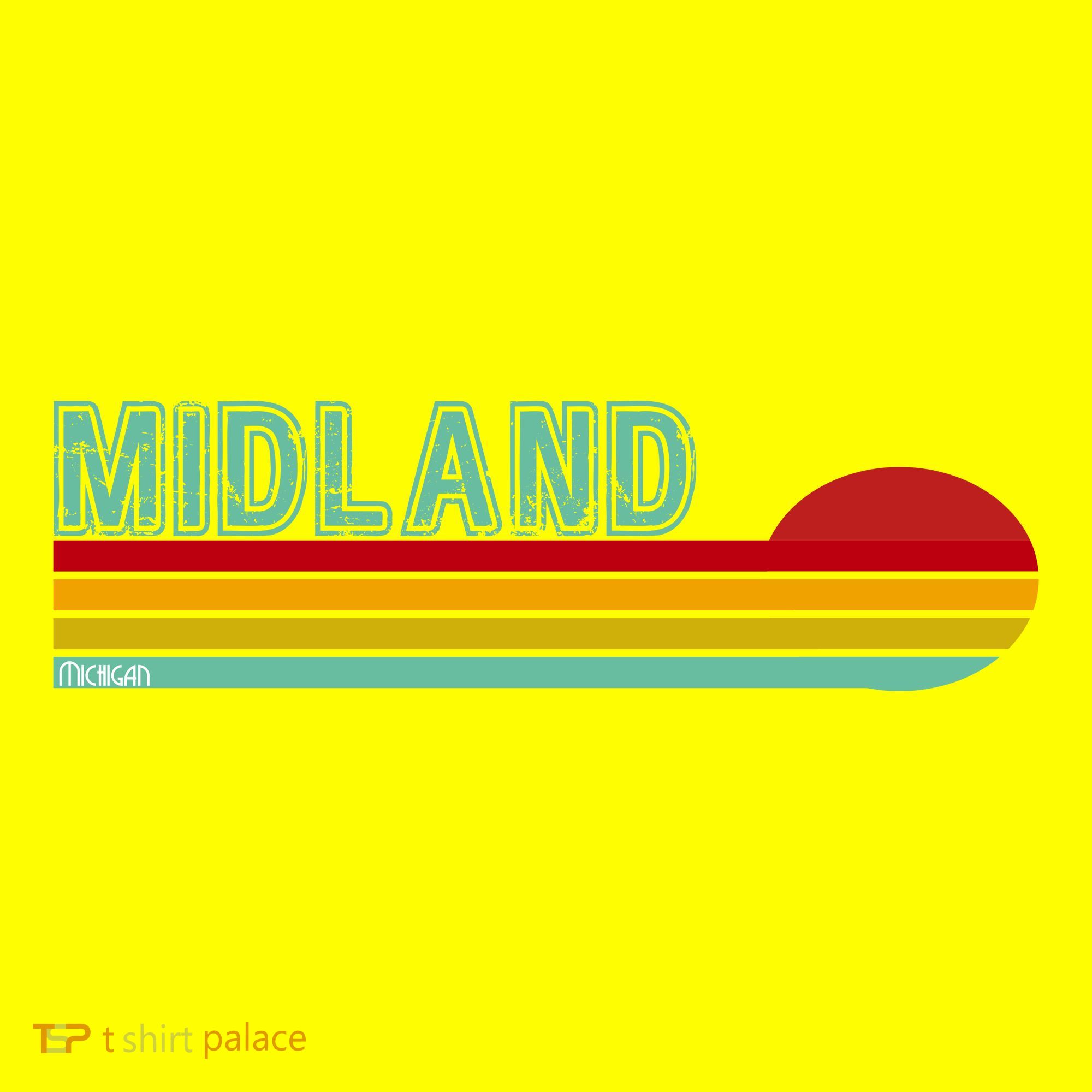Midland Michigan Polo