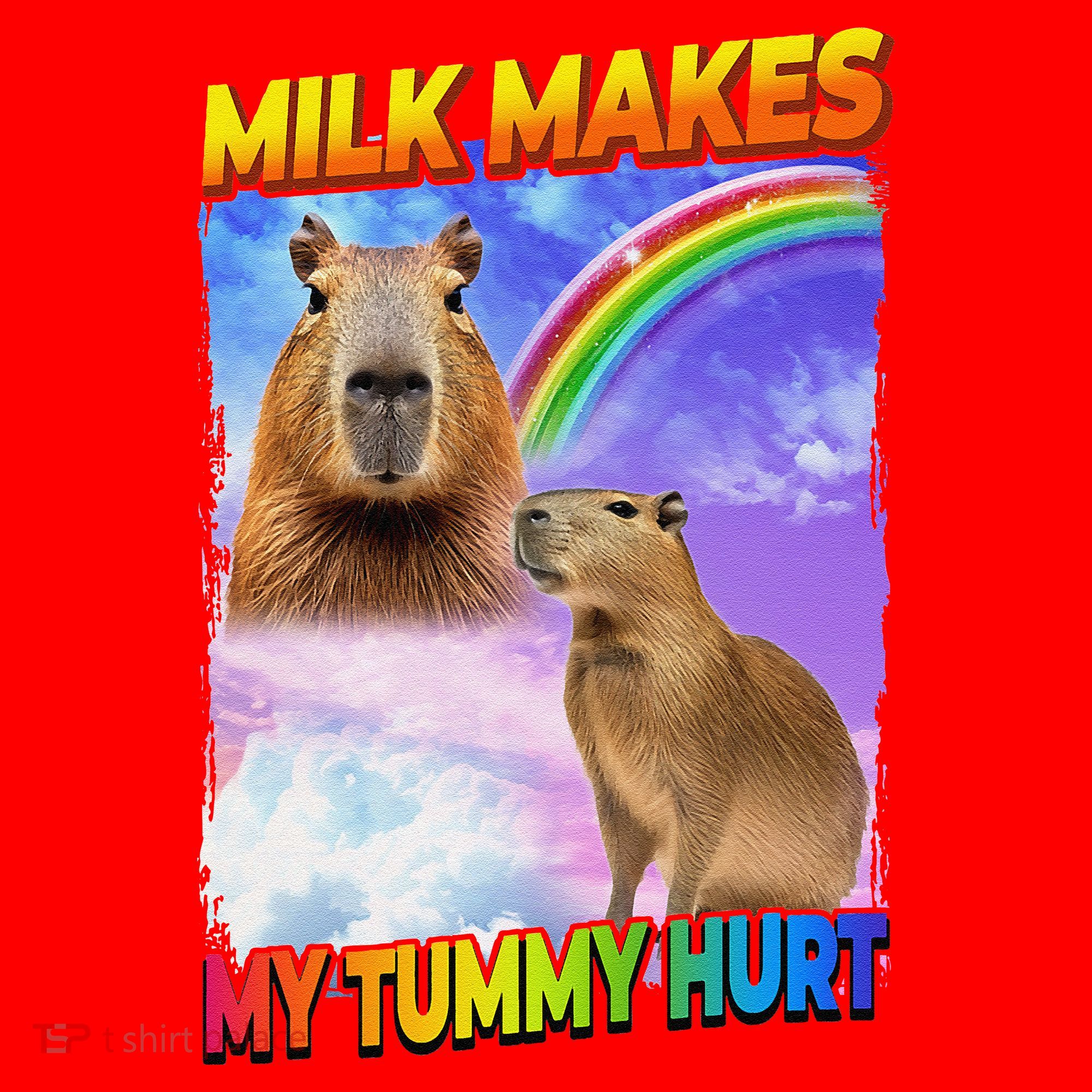Milk Makes My Tummy Hurt Capybara Meme Culture Santa Hat