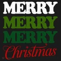Merry Merry Merry Christmas Toddler Hoodie thumb 2