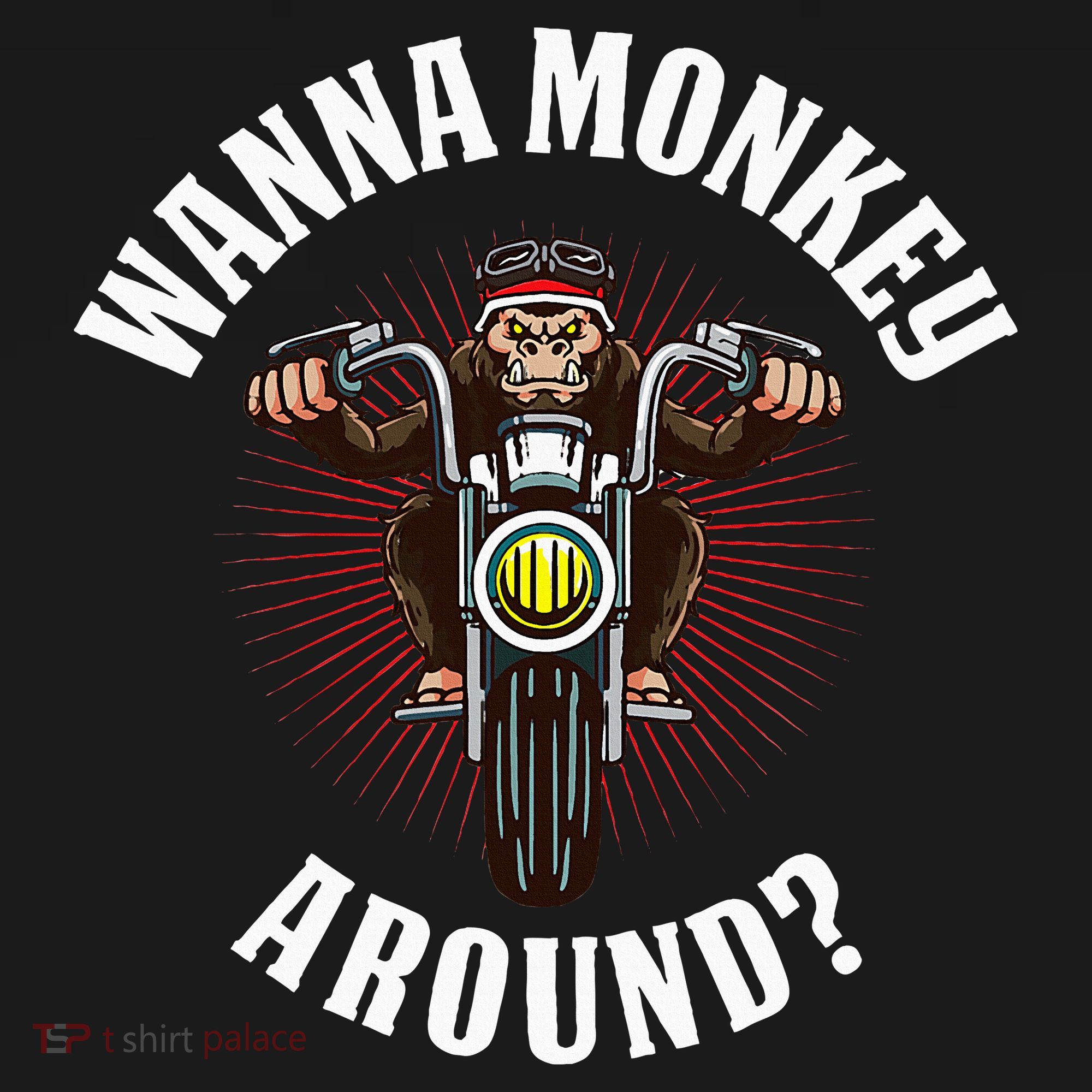 Monkey Motorcycle Visor