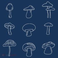 Mushroom Mycology Mushroom Whisperer Fungi Foraging Kids T-Shirt thumb 4