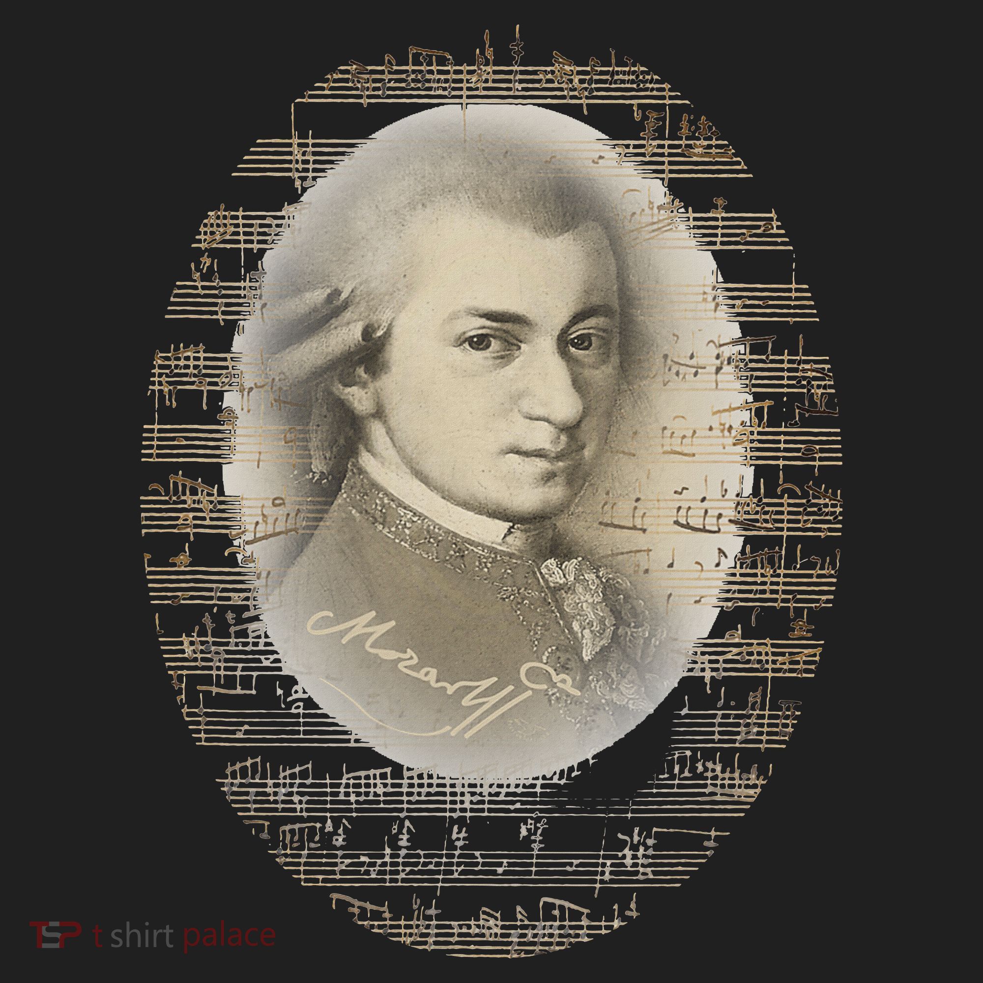 Mozart Mozart Portrait Classical Music Lover Gift Hat