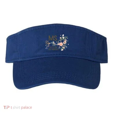 Visor