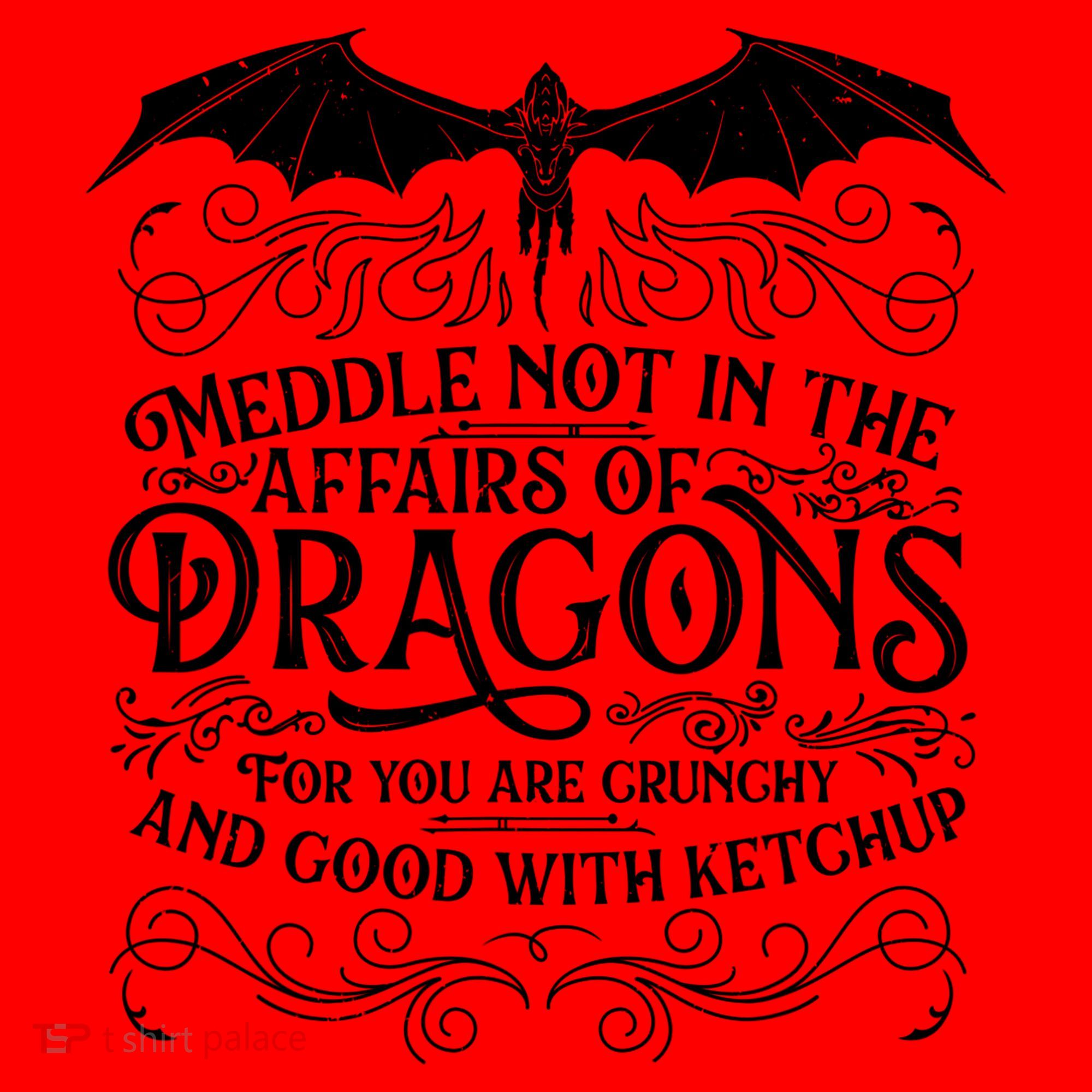 Meddle Not Affairs Dragons Tshirt, Mens Dragon TShirt Santa Hat