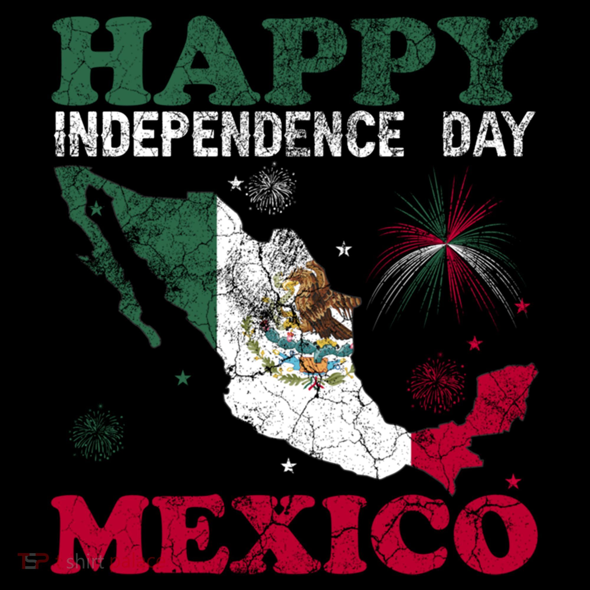 Mexico National Day September 16 Gift Mexican Independence Day  Coffee Mug
