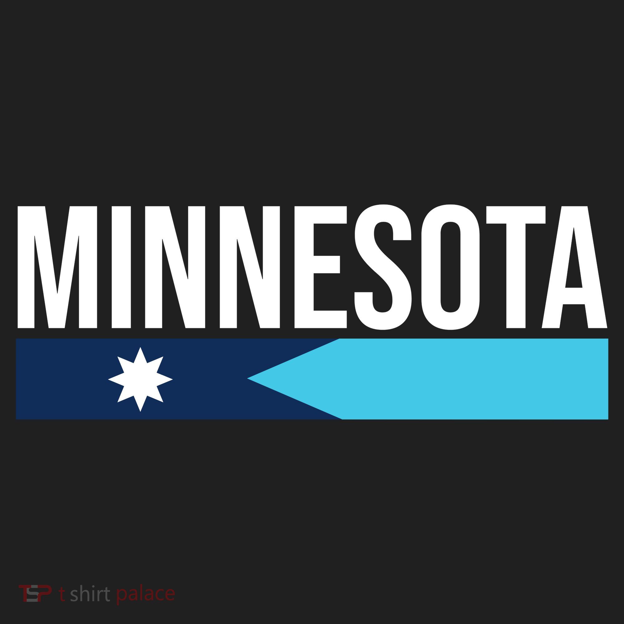 Minnesota New Flag Beanie