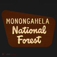 Monongahela National Forest West Virginia Wv Souvenir Gift Women's Perfect Tri Rocker Tank thumb 4