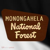 Monongahela National Forest West Virginia Wv Souvenir Gift Toddler Fine Jersey T-Shirt thumb 2