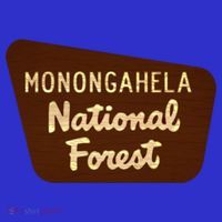 Monongahela National Forest West Virginia Wv Souvenir Gift Women's Tank Top thumb 5