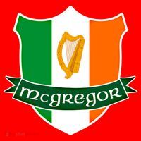 Mcgregor Name Irish Gift Irish Flag Harp Crest Santa Hat thumb 1
