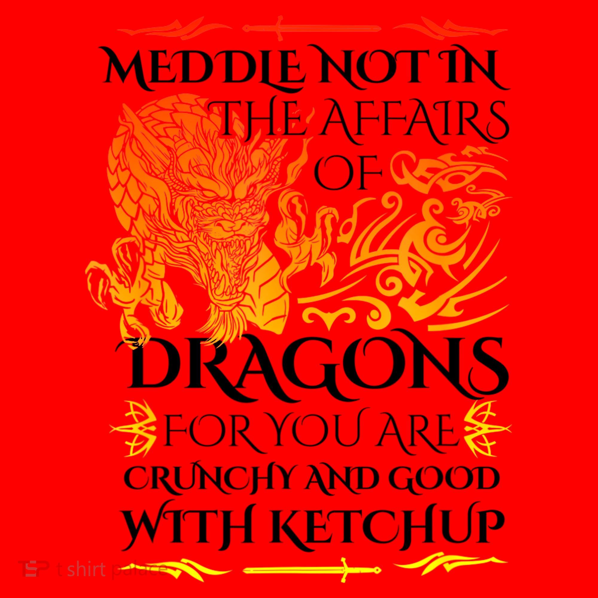 Meddle Not In The Affairs Of Dragons Santa Hat