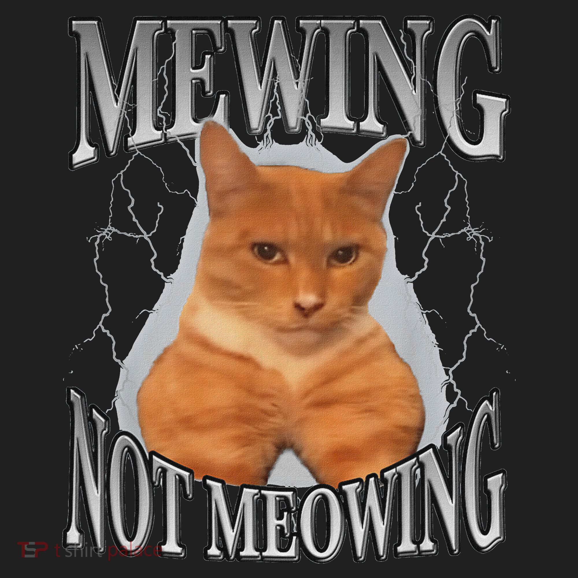 Mewing Not Meowing Hat