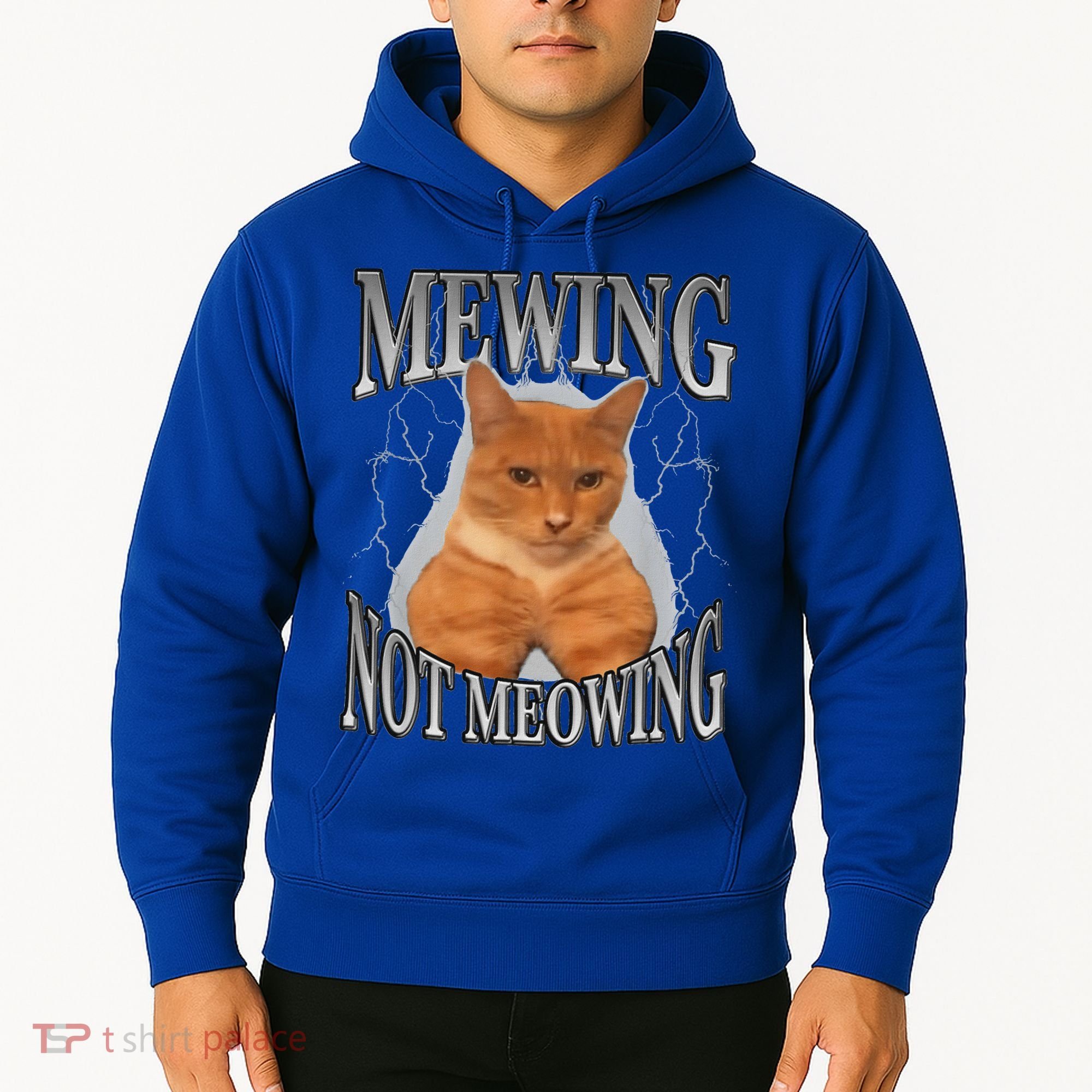 Mewing Not Meowing Hoodie