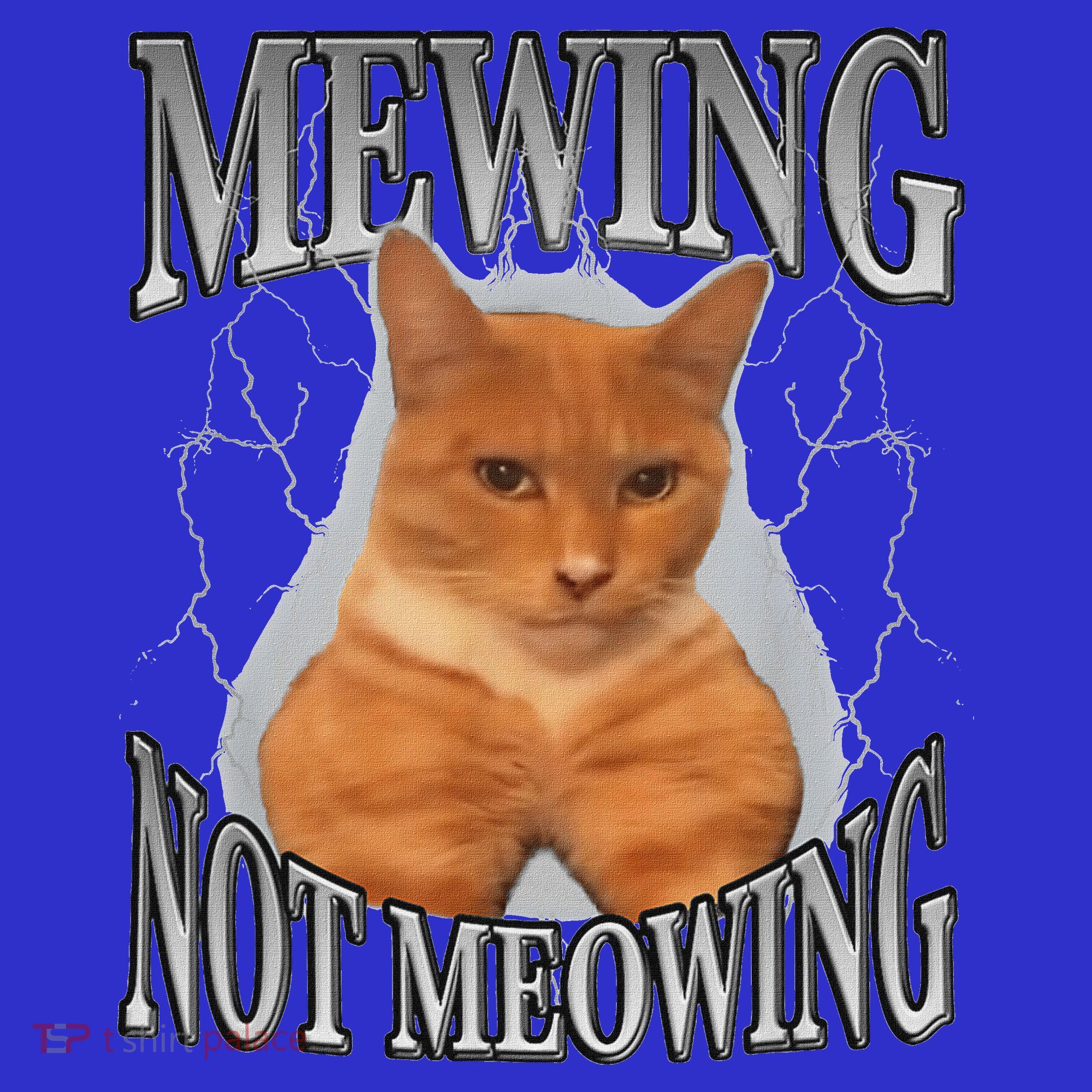 Mewing Not Meowing Sweatshirt