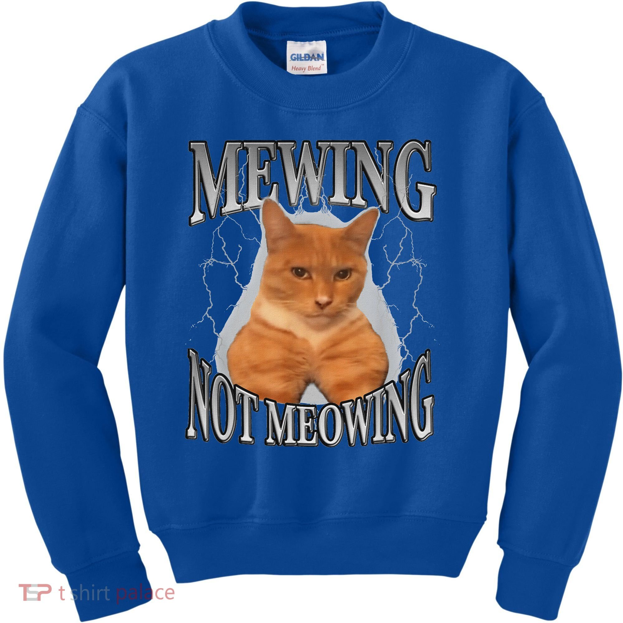 Mewing Not Meowing Kids Sweatshirt