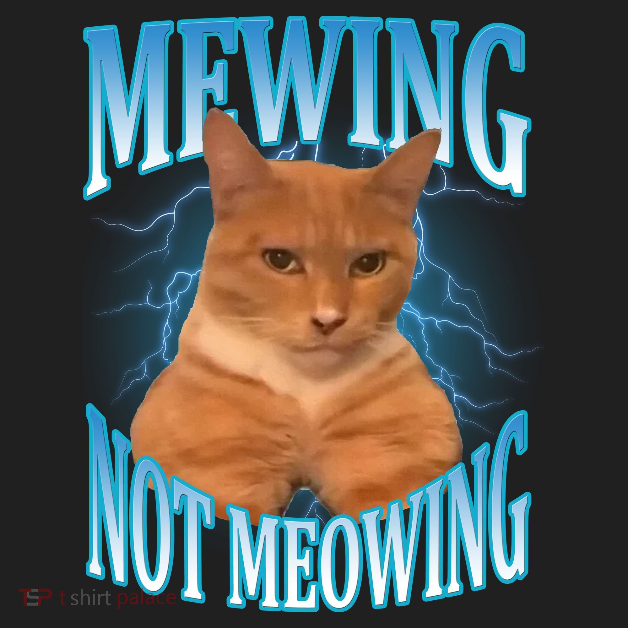 Mewing Not Meowing Funny Cat Meme Women's Sweatshirt