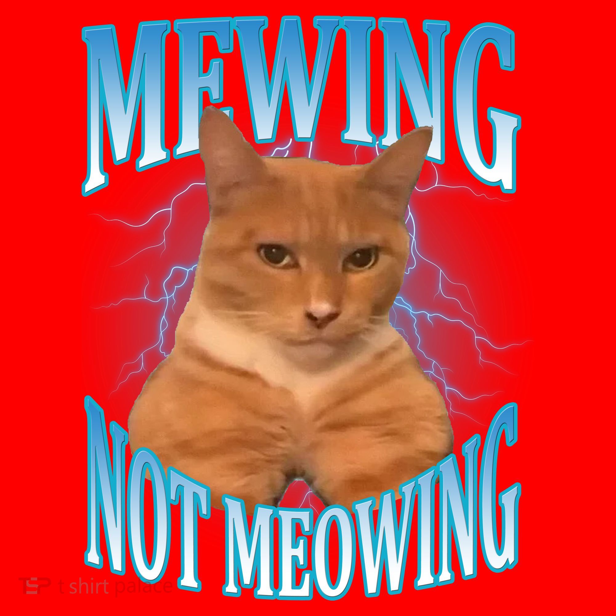 Mewing Not Meowing Funny Cat Meme Santa Hat