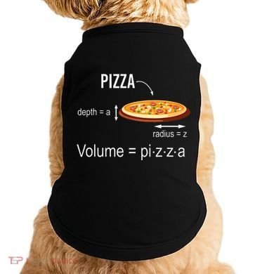 Maths Nerd Pizza Lovers Volume Formula Geek Math Teacher Doggie Tank