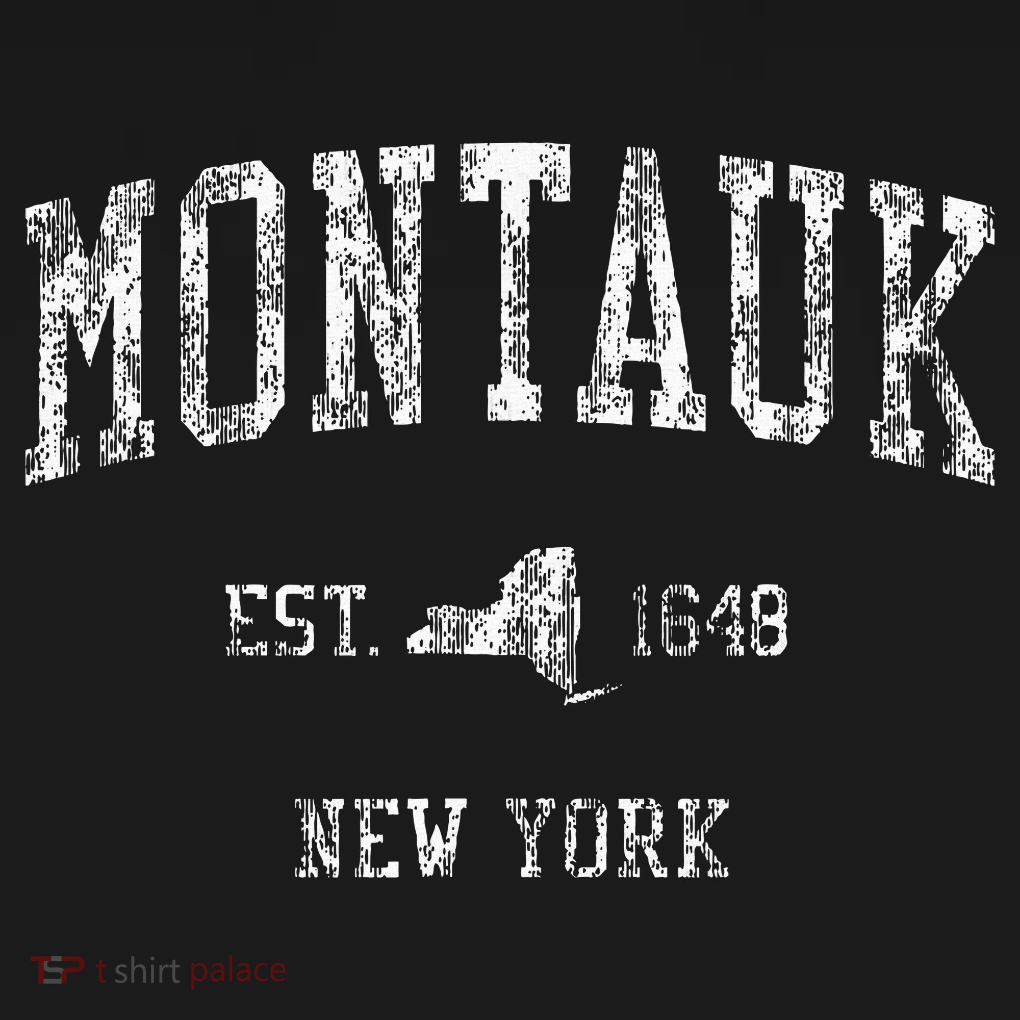 Montauk New York Ny Women's Hoodie