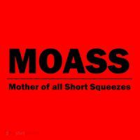 MOASS Mother of all Short Squeezes Santa Hat thumb 1