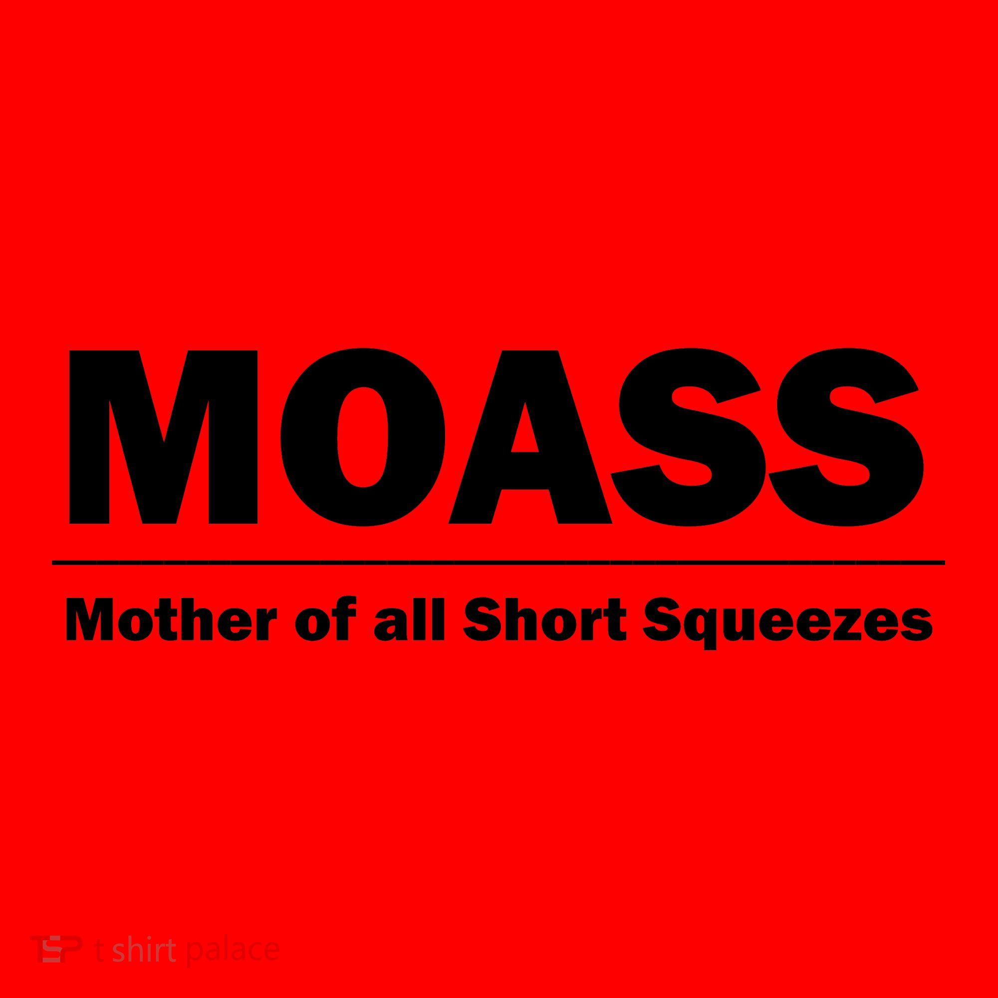 MOASS Mother of all Short Squeezes Santa Hat