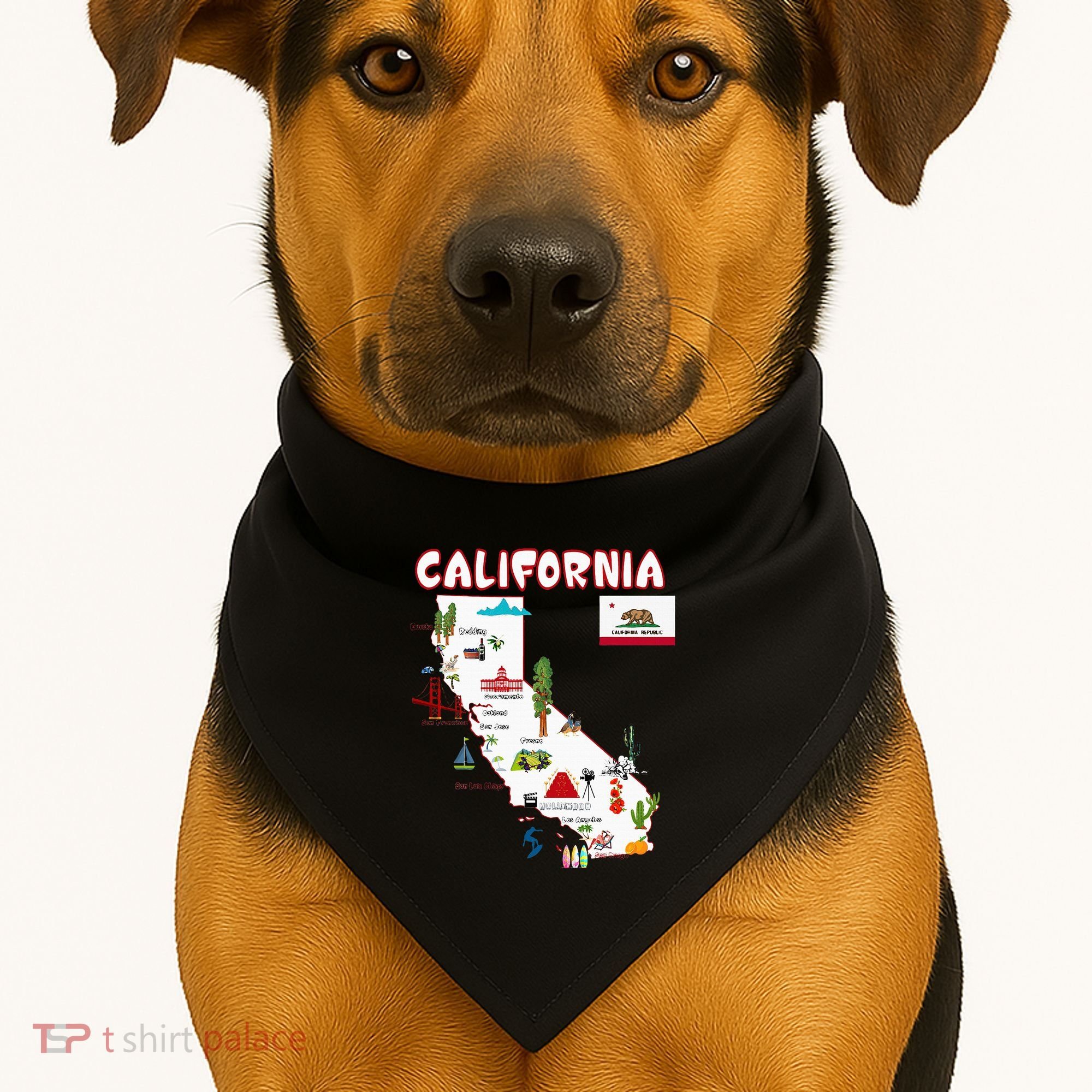 Map Of California Landmarks Major Cities Flag USA-Made Doggie Bandana
