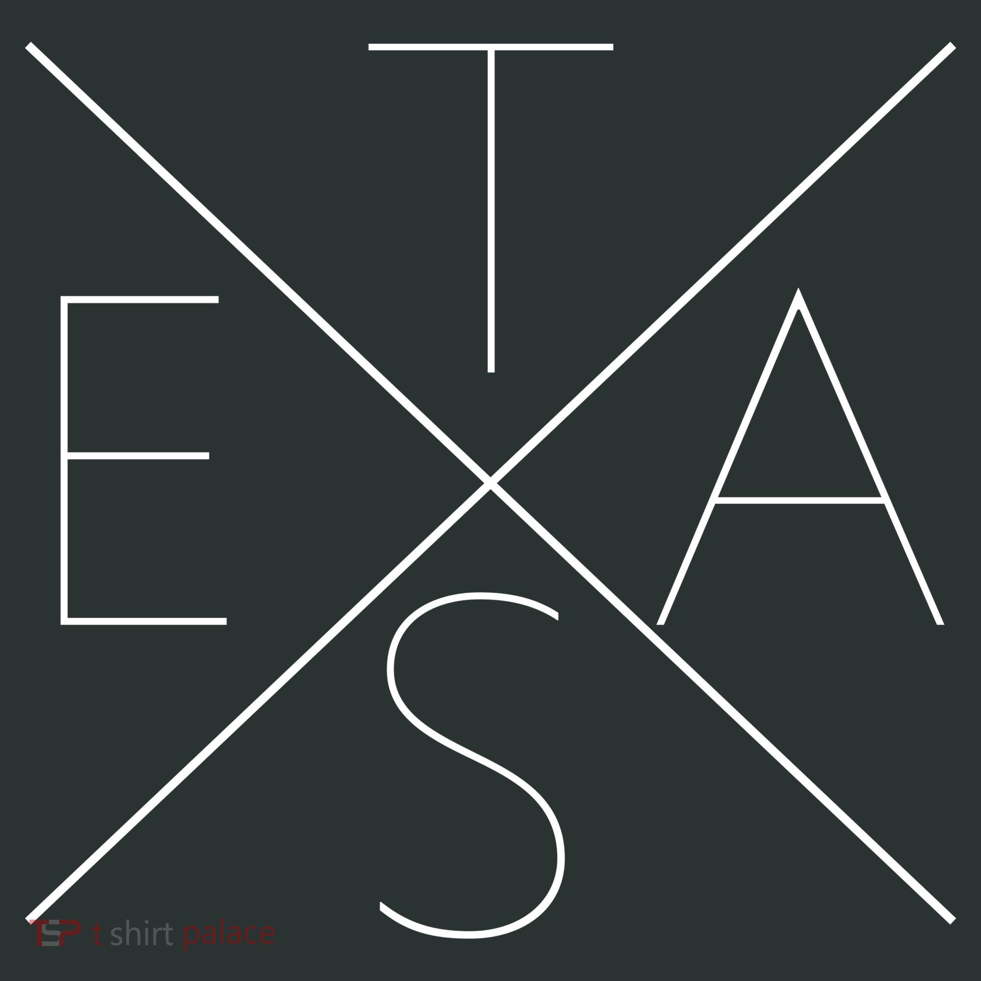 Modern Texas  Kids Hoodie