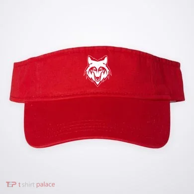 Visor