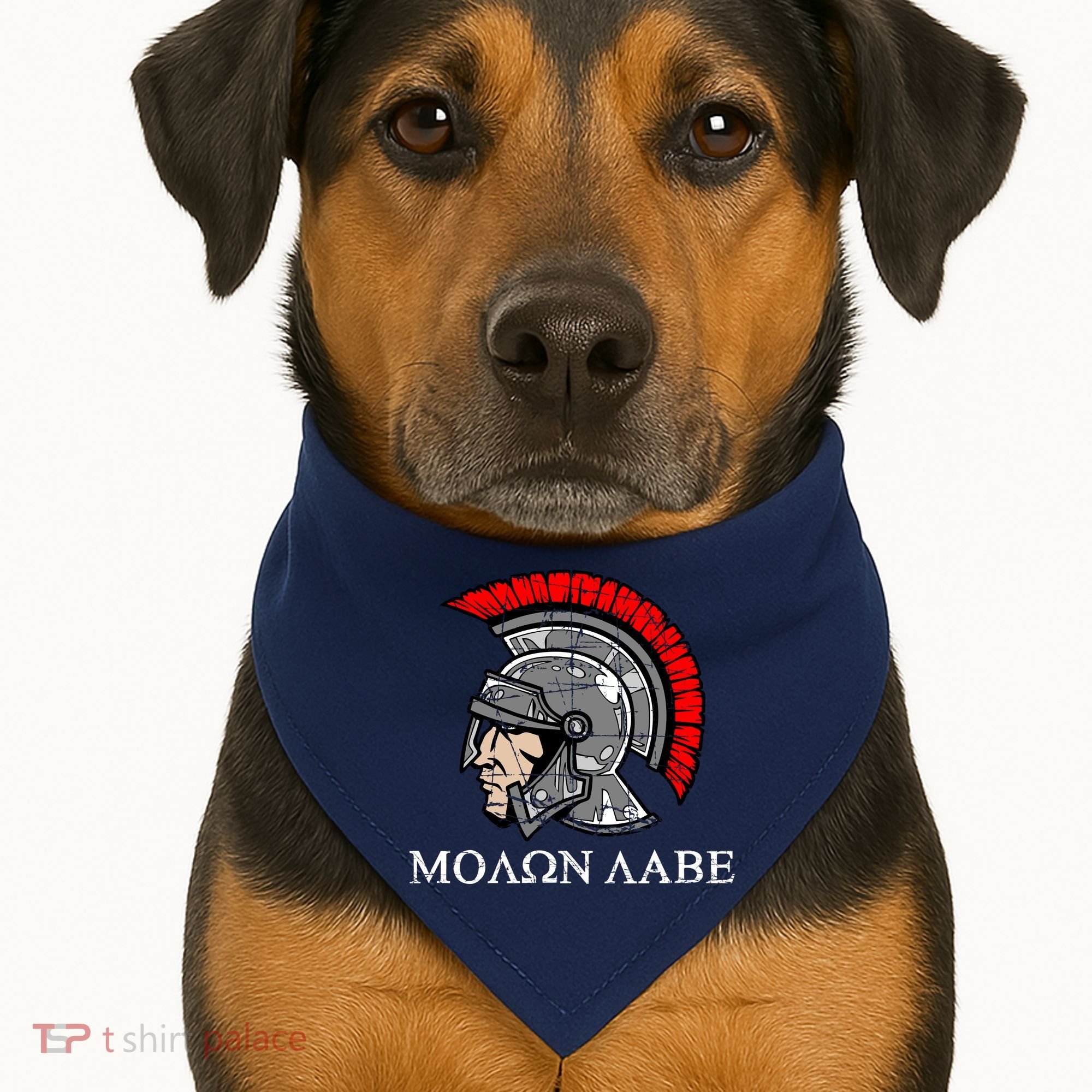 Molon Labe - Spartan Helmet Greek - Come and Take USA-Made Doggie Bandana