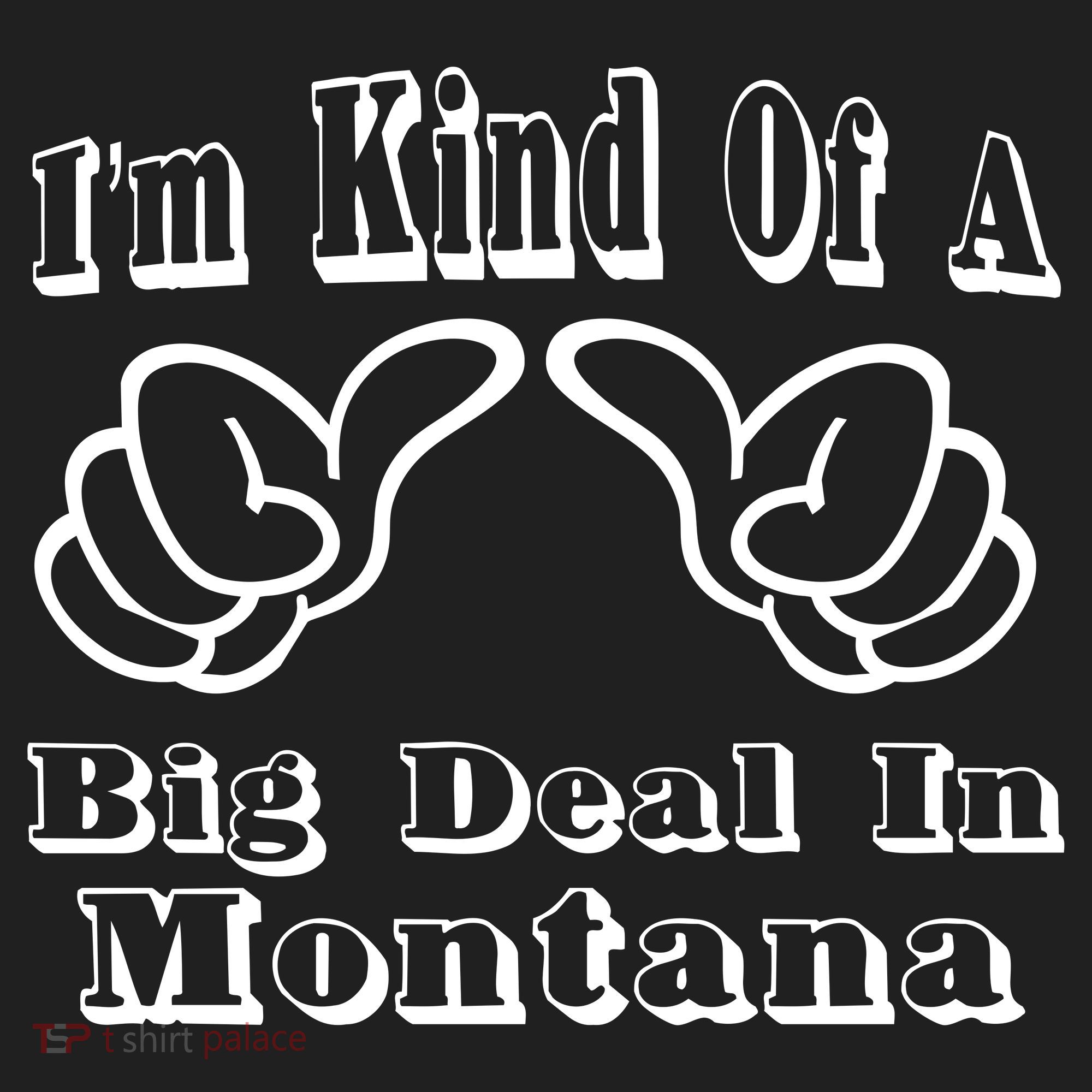 Montana Big Deal Hat