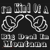 Montana Big Deal Toddler Hoodie thumb 2