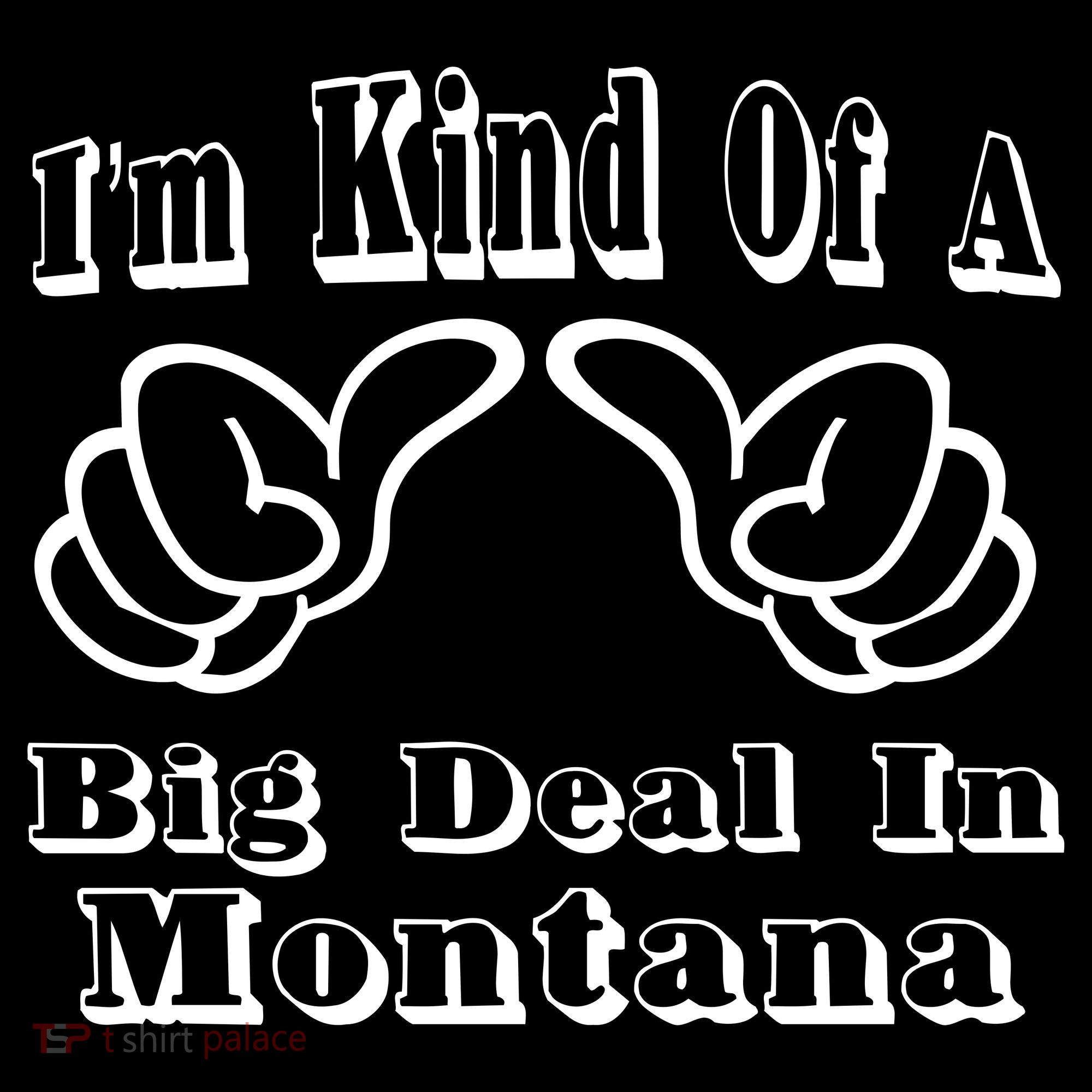 Montana Big Deal Kids Sweatshirt
