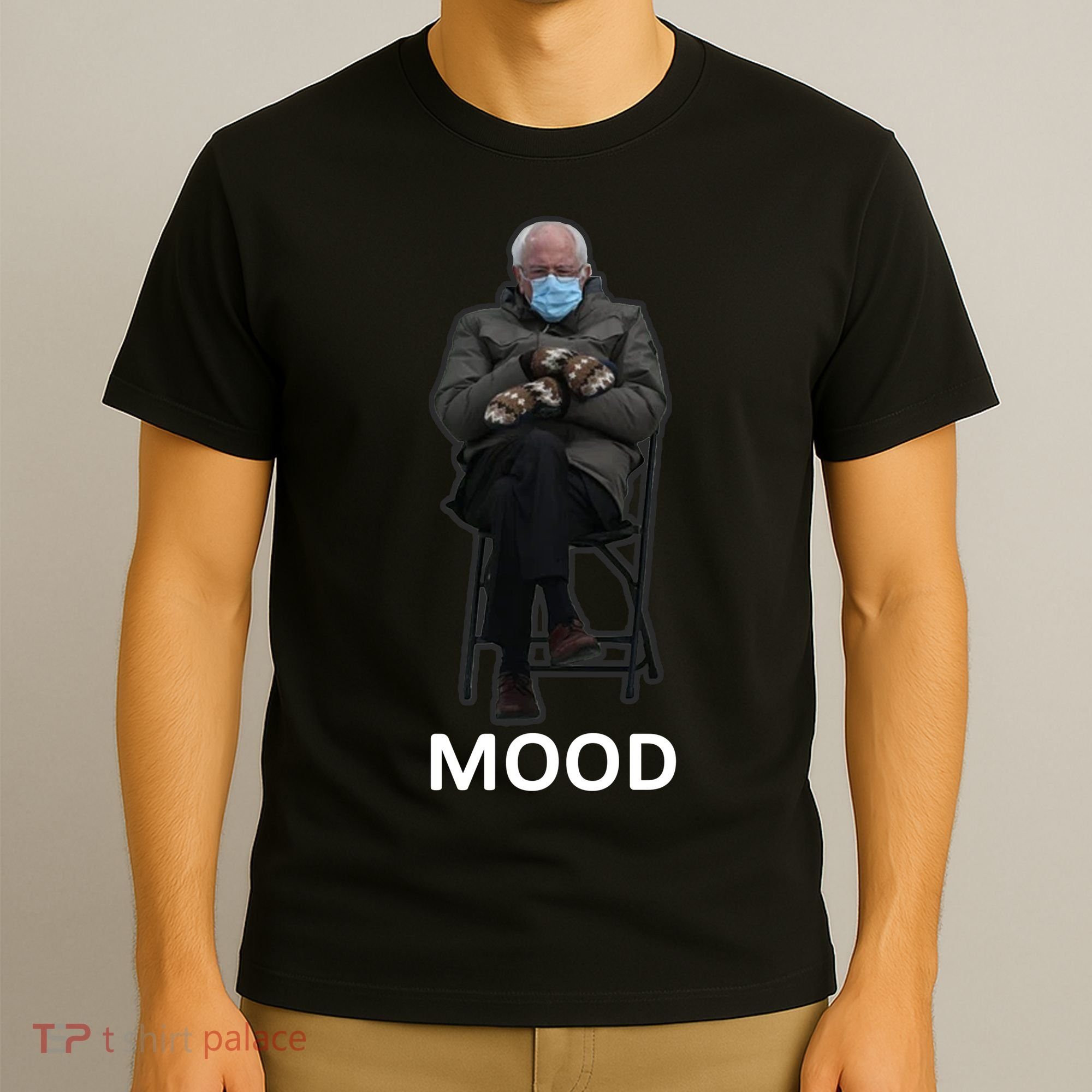 Mood Bernie Sanders Mittens Inauguration T-Shirt