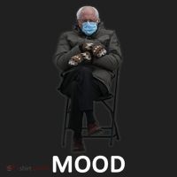 Mood Bernie Sanders Mittens Inauguration Golf Towel thumb 3