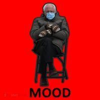 Mood Bernie Sanders Mittens Inauguration Santa Hat thumb 1