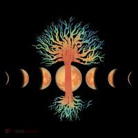 Moon Phases Tree Of Life Ornament thumb 1