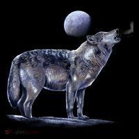 Moon Wolf Coffee Mug thumb 5