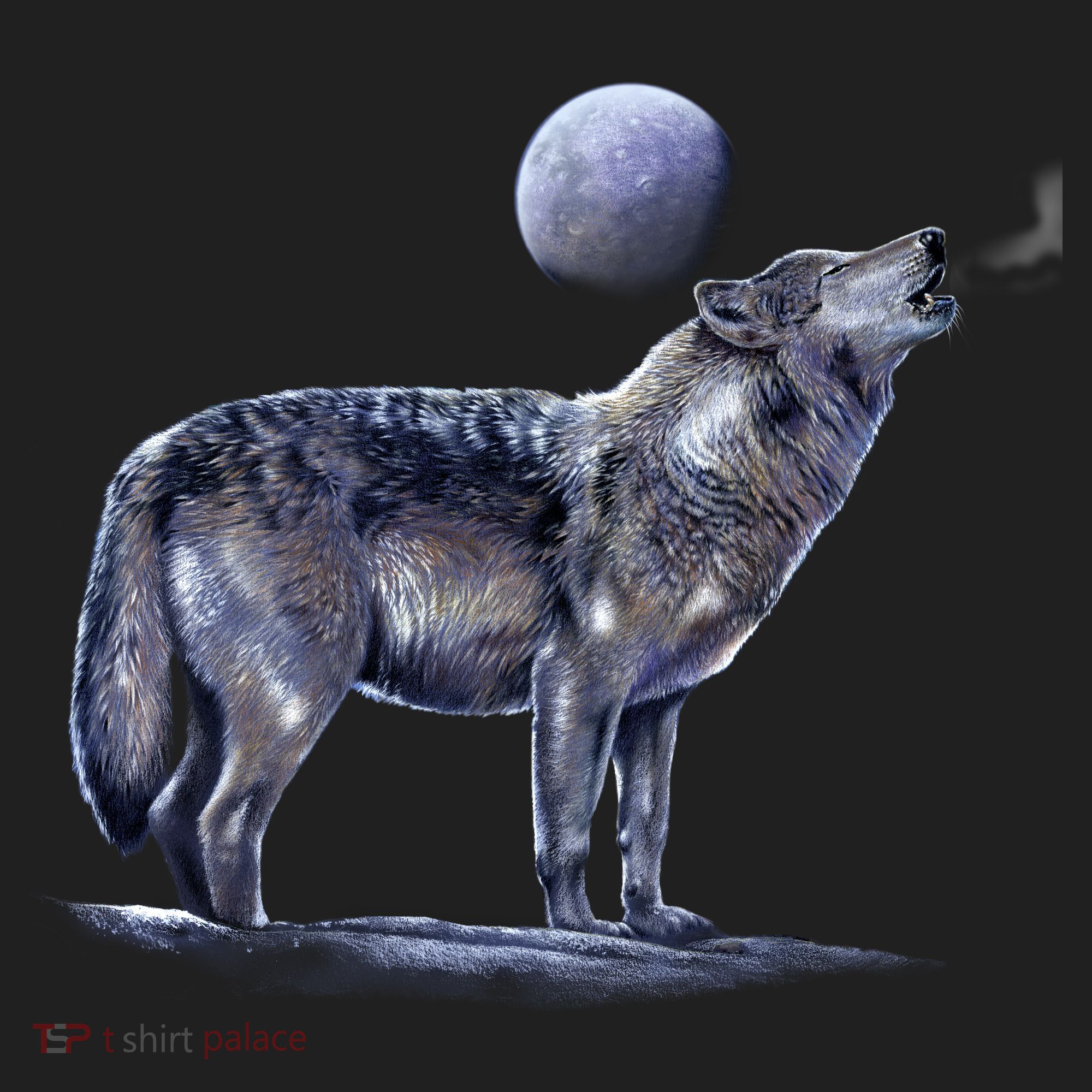 Moon Wolf Beanie