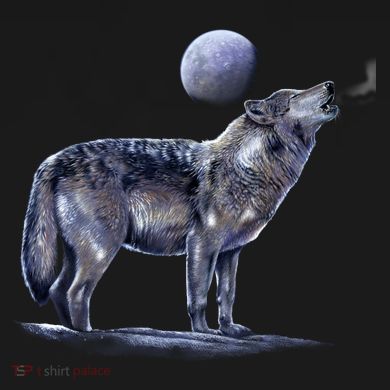 Moon Wolf Pajama Set