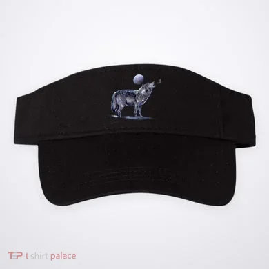 Visor