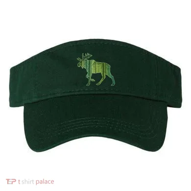 Visor