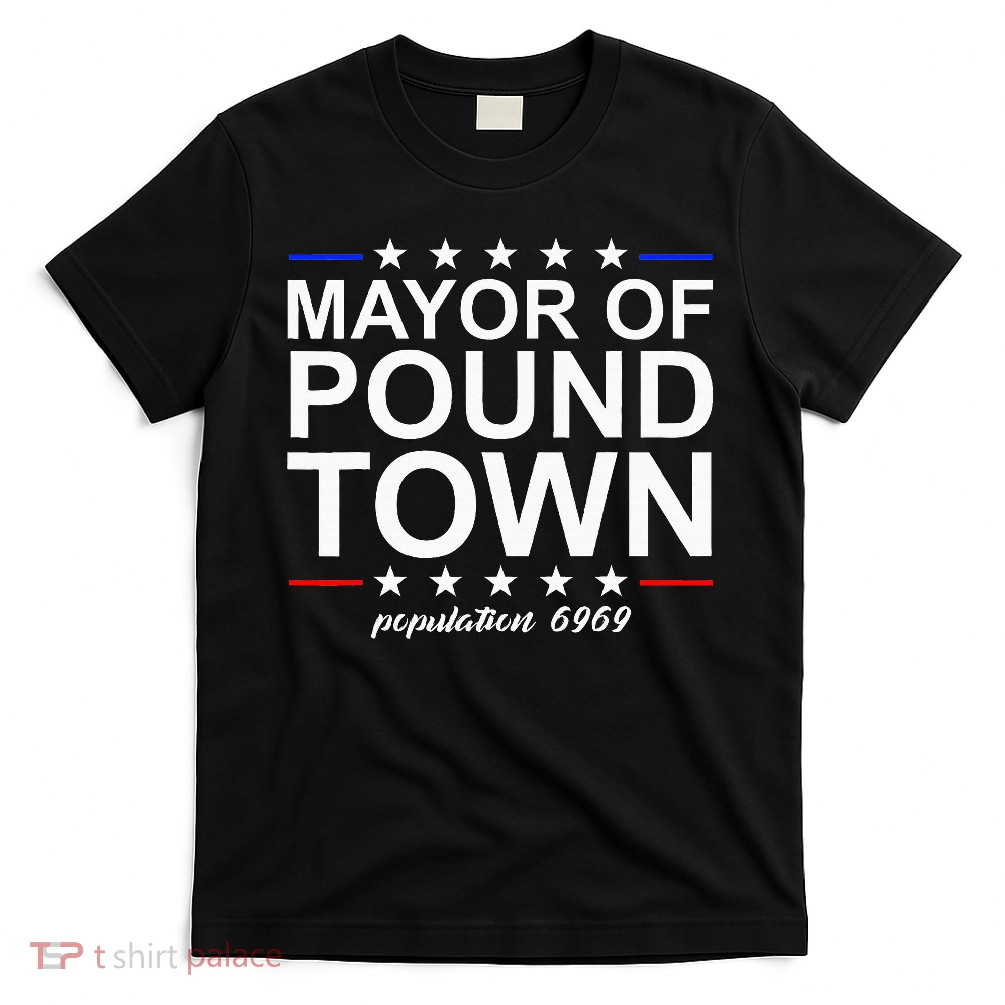 Mayor Of Pound Town Funny Adult Humor Pound Town T-Shirt
