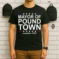 Mayor Of Pound Town Funny Adult Humor Pound Town T-Shirt thumb 6