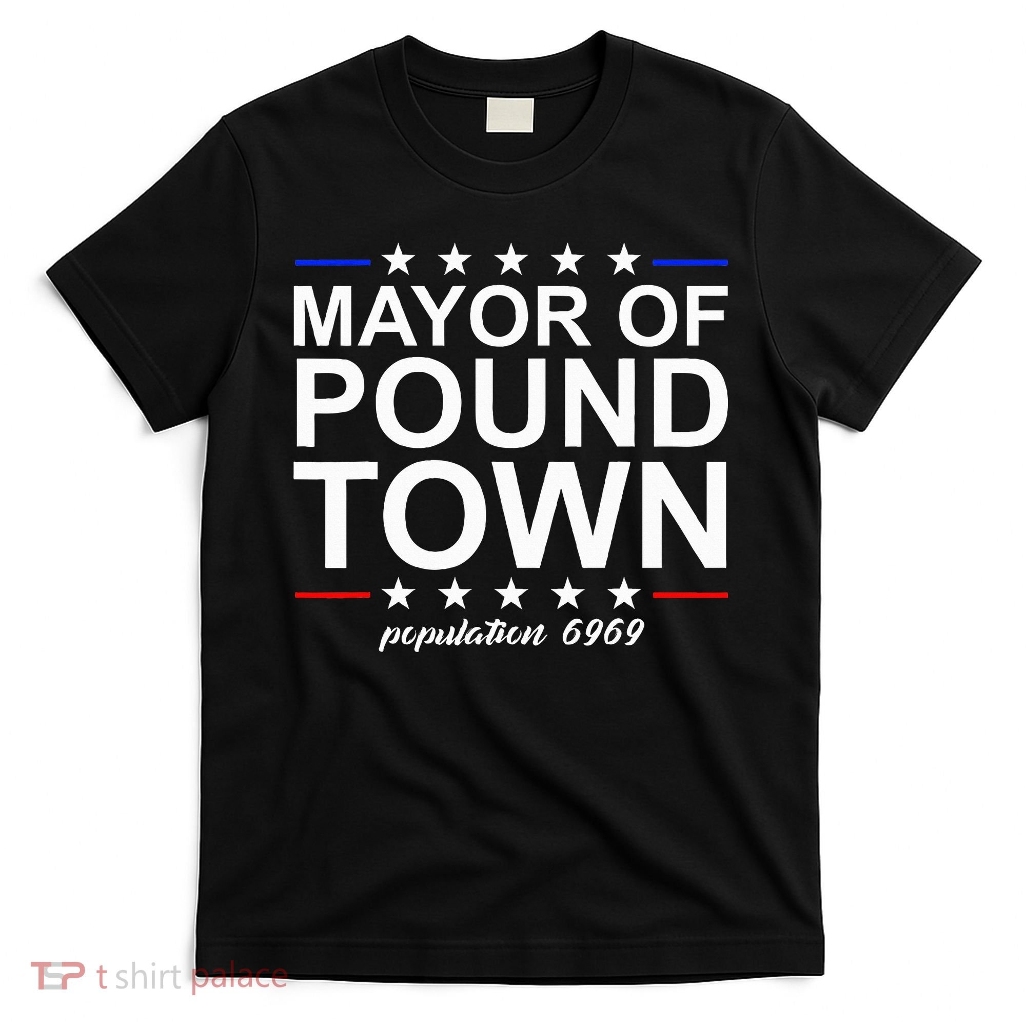 Mayor Of Pound Town Funny Adult Humor Pound Town T-Shirt