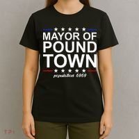 Mayor Of Pound Town Funny Adult Humor Pound Town T-Shirt thumb 4