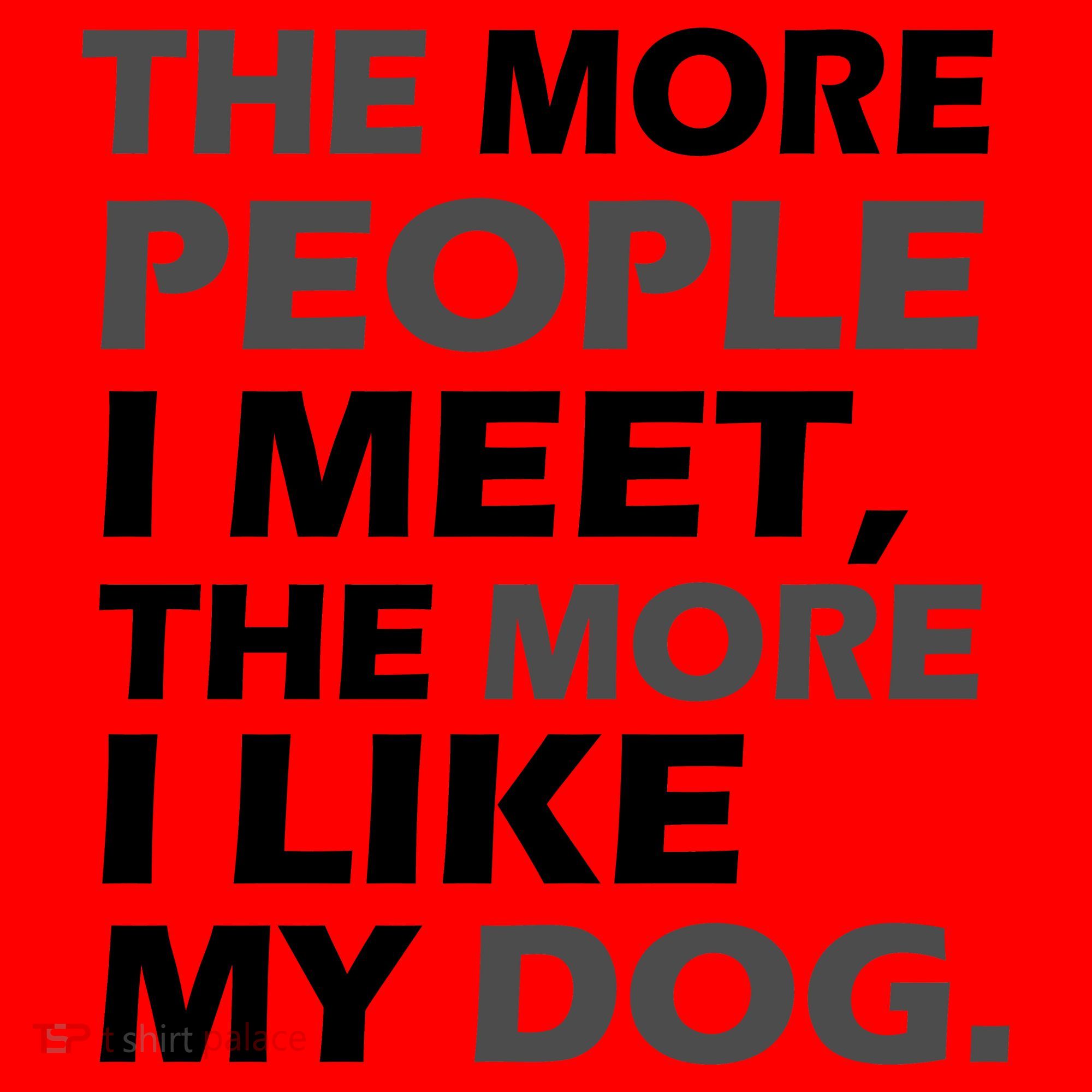 More People I Meet Like My Dog Santa Hat