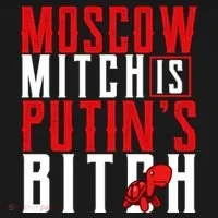 Moscow Mitch Is Putins B*tch Turtle Toddler Hoodie thumb 2
